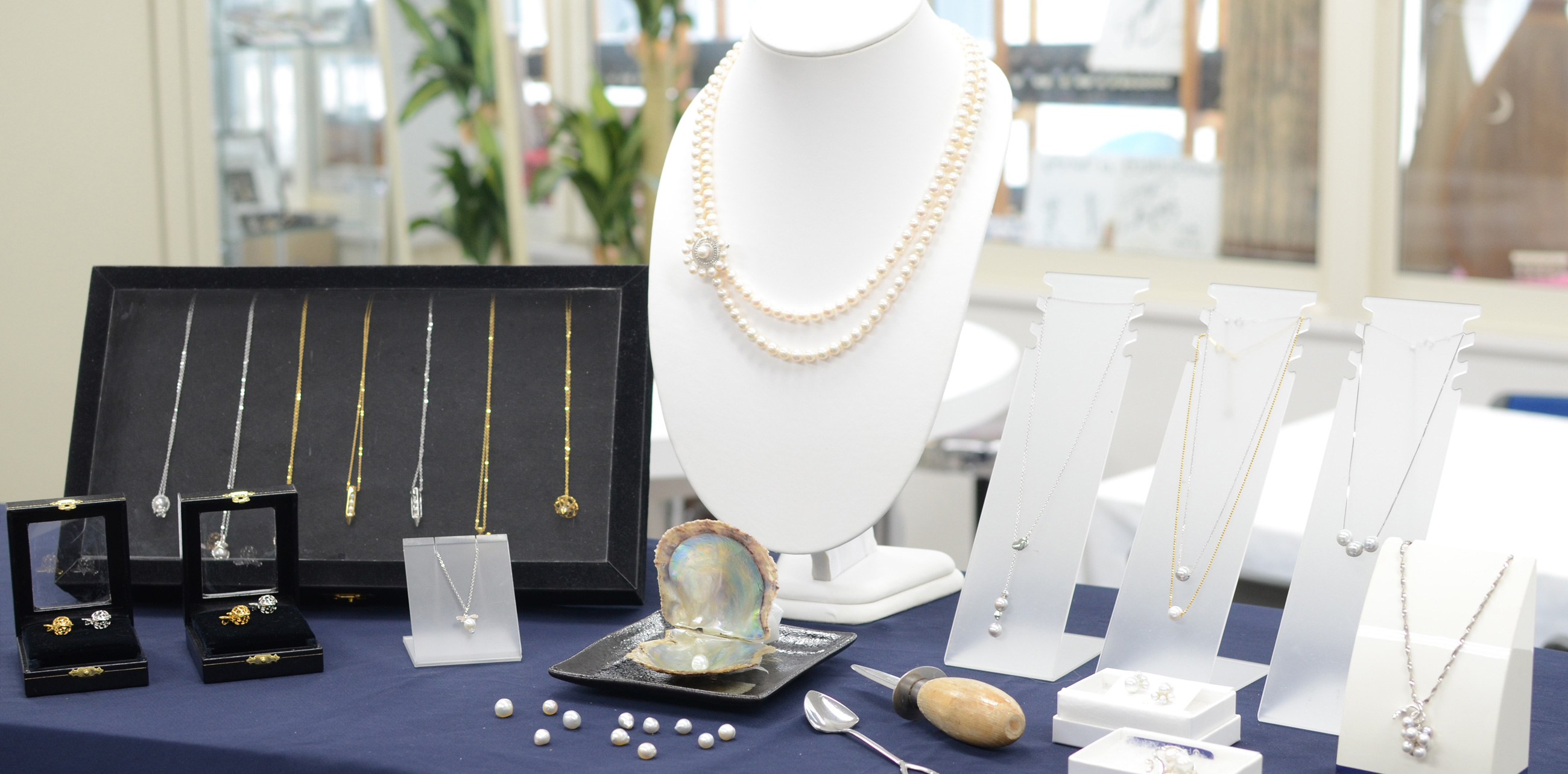 真珠の珠出し体験