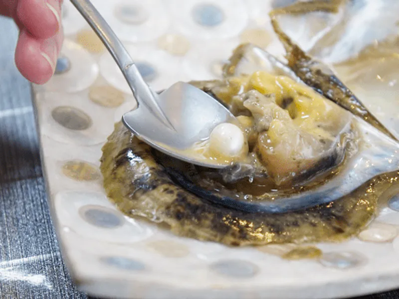 真珠の珠だしの様子